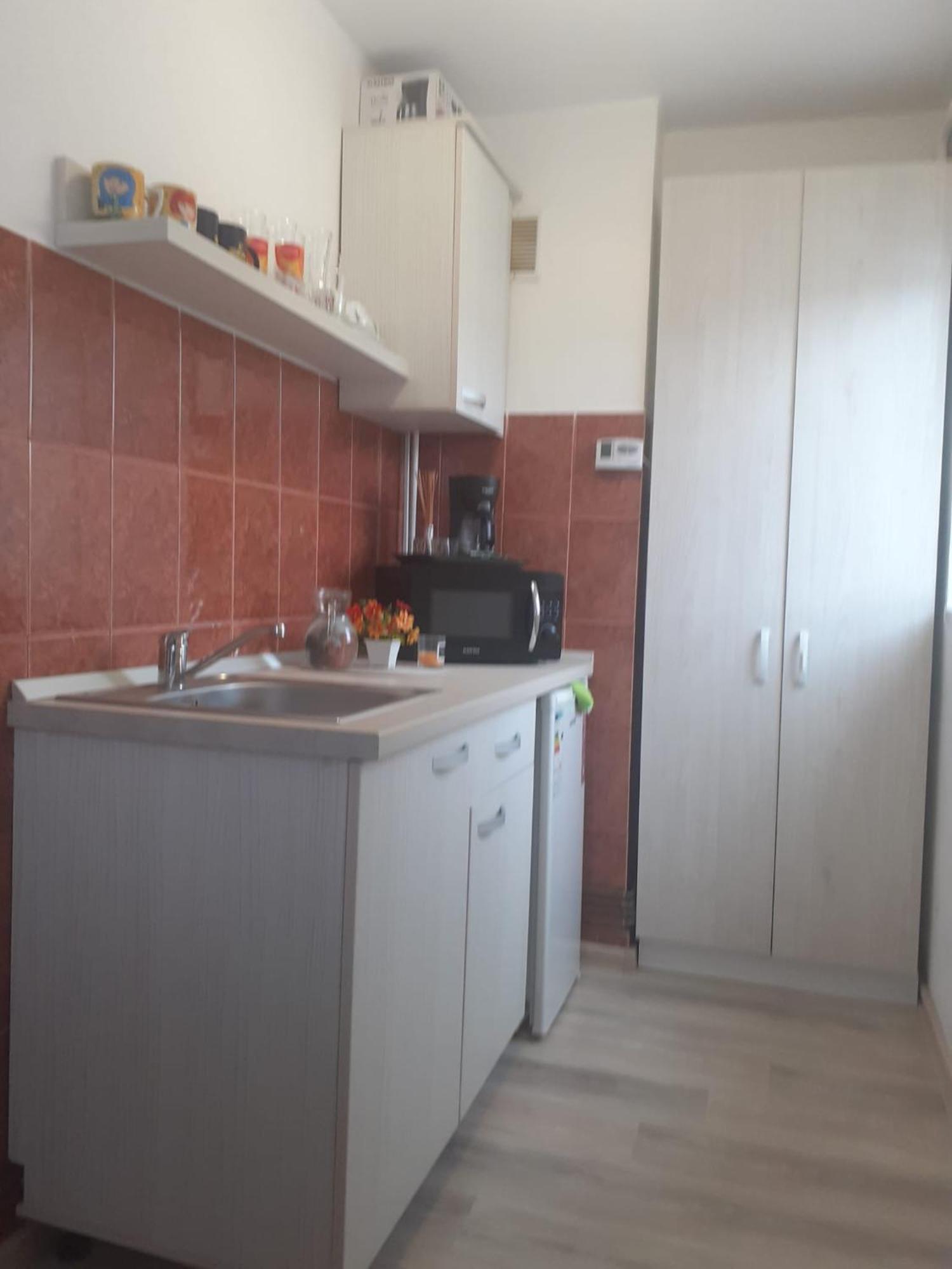 Studio Ultracentral Cu Balcon Onesti Dış mekan fotoğraf